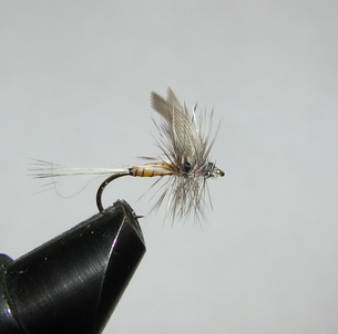 ���� ����� Dry fly  